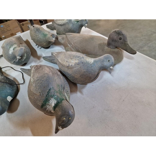 141 - Collection of Decoy Pigeons and a Duck