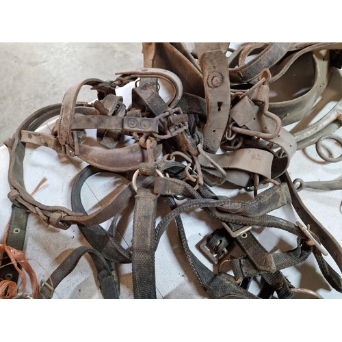 142 - Collection of Vintage Leather Equestrian Straps, Horse Bits, Riding Tackle, etc (see multiple catalo... 