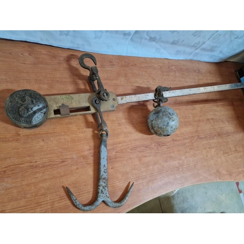 81 - Antique Herbert & Sons, London, Hanging Balance Scales with Large Hook and Heavy Ball Weight