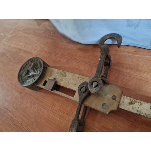 81 - Antique Herbert & Sons, London, Hanging Balance Scales with Large Hook and Heavy Ball Weight
