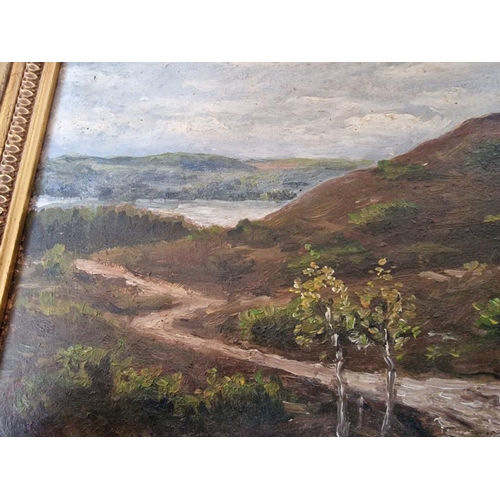 3 - Framed Oil on Board Original Painting of Countryside by Listed Danish Artist 'Frands Fransen' (1885-... 