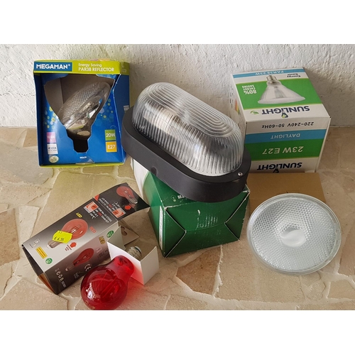 629 - Assorted Flood Light, Bulbs (4pcs),