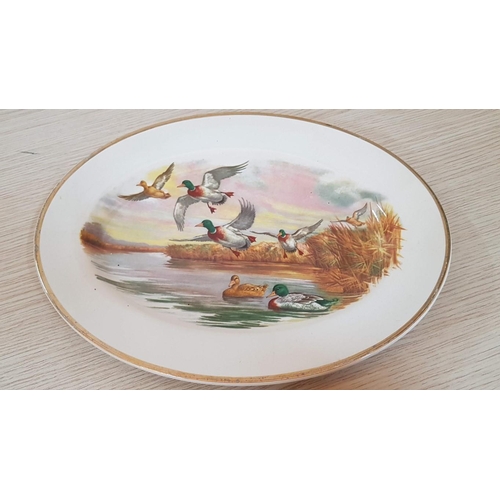 204 - Collection of 4 x Porcelain Plates with Hunting Theme; 3 x Oval (Approx. 31 x 25cm) and 1 x Round (A... 