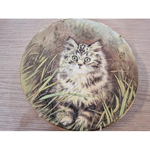 22 - 3 x Collectable Wall Plates with Cats; Royal Worcester, Knowles and Hamilton Collection, (3)