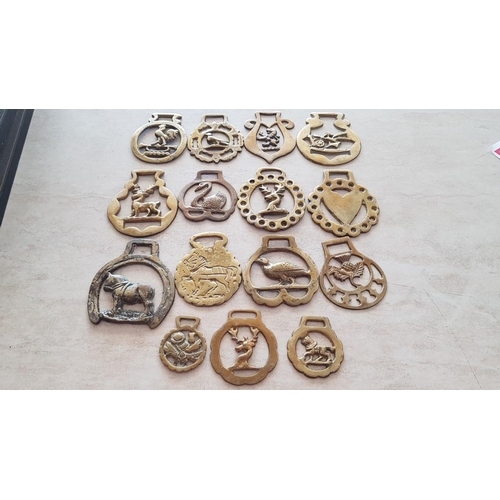 538 - Large Collection of Horse Brasses, (15)