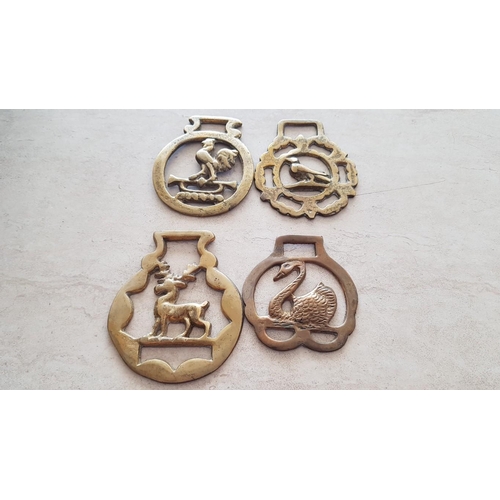 538 - Large Collection of Horse Brasses, (15)