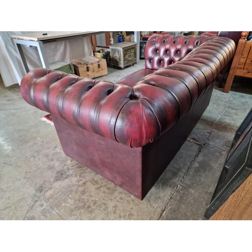 76 - 2 Seater Chesterfield Sofa, Red Oxblood Leather with Button Back, Studded Scroll Arms and Back Rest