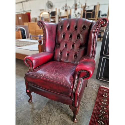 77 - Queen Anne Chesterfield Wing Back Armchair, Red Oxblood Leather, Studded Button Back, (some signs of... 