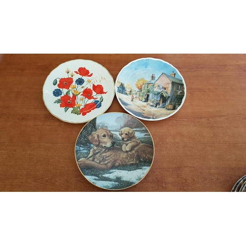 563 - Collection of Decorative Porcelain Plates; 