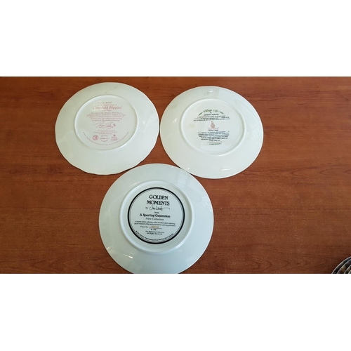 563 - Collection of Decorative Porcelain Plates; 