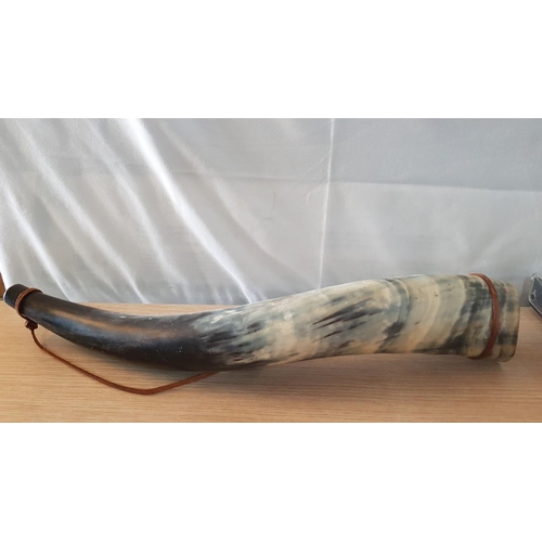 793 - Wall Hanging Animal Horn (Possibly Cow) on a Leather Lanyard, (Approx. L: 55cm)