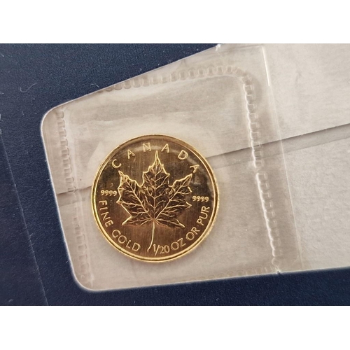 43 - 24ct Gold 'Maple Leaf' (1996) Proof $1 Coin, Canada, 'The Smallest Gold Coins in the World' Collecti... 