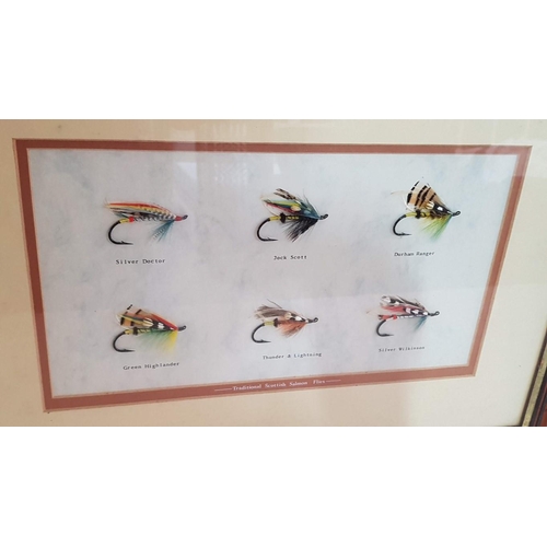 22 - Wall Mounted Framed & Glazed Display of Traditional Scottish Salmon Flies (History on Reverse), (App... 