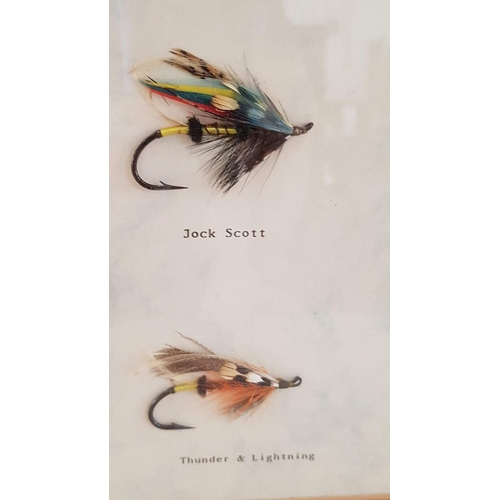 22 - Wall Mounted Framed & Glazed Display of Traditional Scottish Salmon Flies (History on Reverse), (App... 