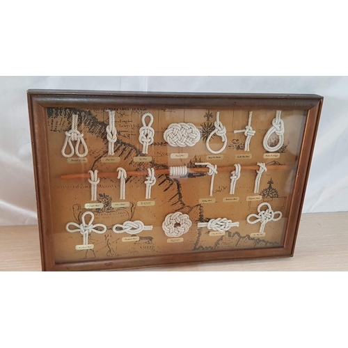 72 - Framed Wall Hanging Display Case of Nautical Knots, (Approx. 60 x 40cm)