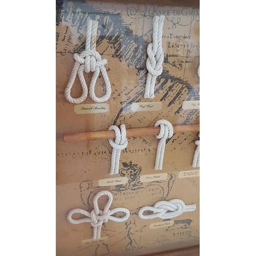 72 - Framed Wall Hanging Display Case of Nautical Knots, (Approx. 60 x 40cm)