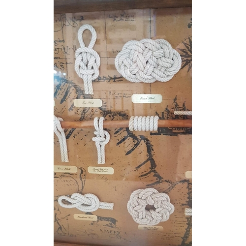 72 - Framed Wall Hanging Display Case of Nautical Knots, (Approx. 60 x 40cm)