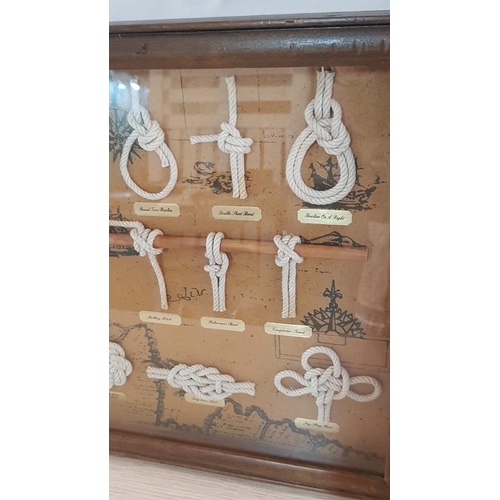 72 - Framed Wall Hanging Display Case of Nautical Knots, (Approx. 60 x 40cm)