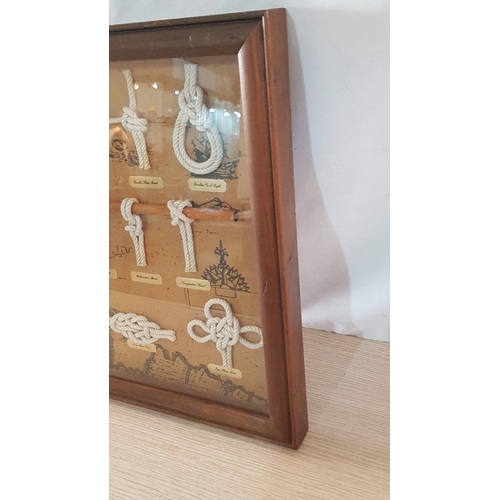 72 - Framed Wall Hanging Display Case of Nautical Knots, (Approx. 60 x 40cm)