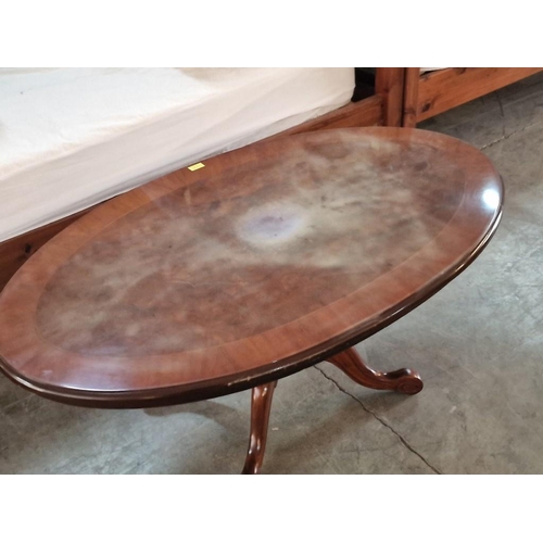 665 - Classical Style Dark Wood Oval Coffee Table with Carved Pedestal Leg, (a/f: Top discoloured or stain... 