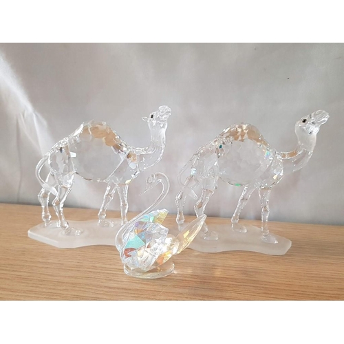 694 - Small Collection of Swarovski Crystal; Pair / 2 x Camels #247683 (Approx. H: 12cm) and Crystal Swan,... 