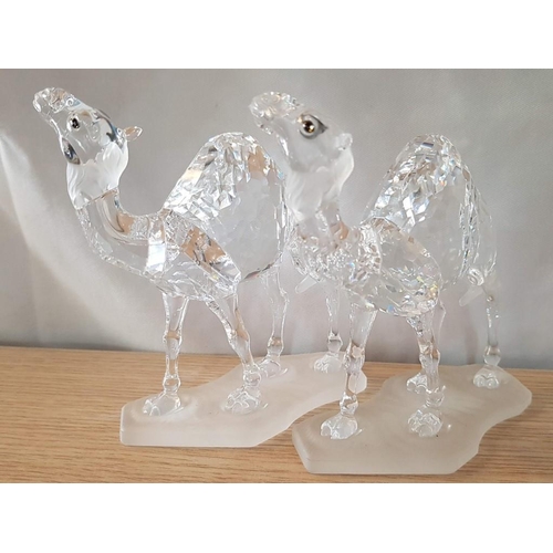 694 - Small Collection of Swarovski Crystal; Pair / 2 x Camels #247683 (Approx. H: 12cm) and Crystal Swan,... 