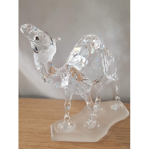 694 - Small Collection of Swarovski Crystal; Pair / 2 x Camels #247683 (Approx. H: 12cm) and Crystal Swan,... 