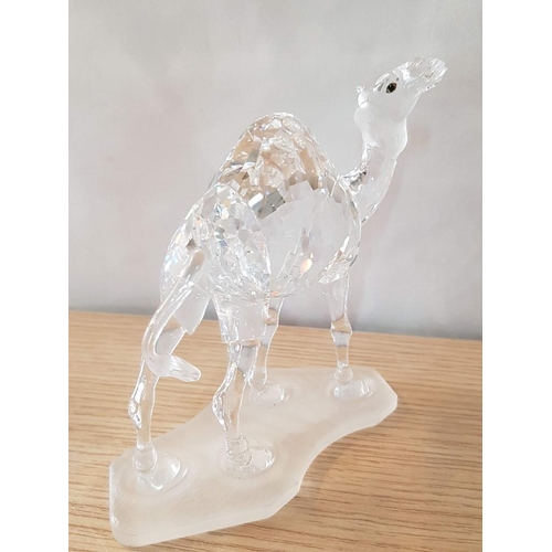 694 - Small Collection of Swarovski Crystal; Pair / 2 x Camels #247683 (Approx. H: 12cm) and Crystal Swan,... 