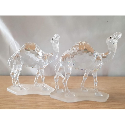 694 - Small Collection of Swarovski Crystal; Pair / 2 x Camels #247683 (Approx. H: 12cm) and Crystal Swan,... 