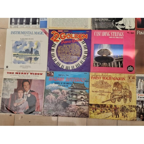 217 - Collection of Assorted LP Vinyl Records, (see multiple catalogue photos for artists & titles), Toget... 