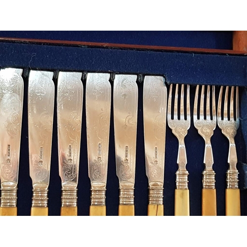 41 - Vintage Set of 24 Silver Plated Fish Knives and Forks Stamped M-JH & Co, with EP Under a Crown in Or... 