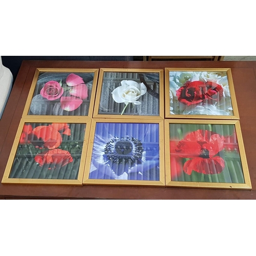 577 - Set of 6 x Pictures with Flowers in Gilded Frames, (Approx. 31 x 31cm each), (6)