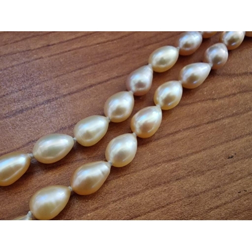 270 - Freshwater Pearl Necklace, Single Strand, Individually Knotted with Sterling Silver (.925) Clasp, (A... 