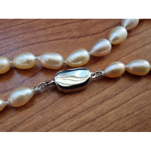 270 - Freshwater Pearl Necklace, Single Strand, Individually Knotted with Sterling Silver (.925) Clasp, (A... 