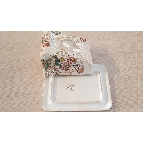 18 - Late Victorian cheese plate with cover – stamped V with floral decoration – 17cm x 19 x 15 overall