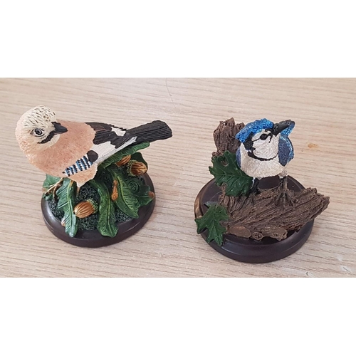 19 - 10 hand painted bird ornaments from the Bird Collection – sculpted by Andy Pearce – average height 1... 