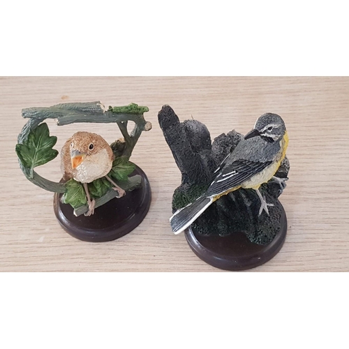 19 - 10 hand painted bird ornaments from the Bird Collection – sculpted by Andy Pearce – average height 1... 