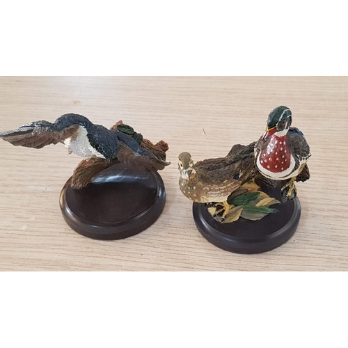 19 - 10 hand painted bird ornaments from the Bird Collection – sculpted by Andy Pearce – average height 1... 