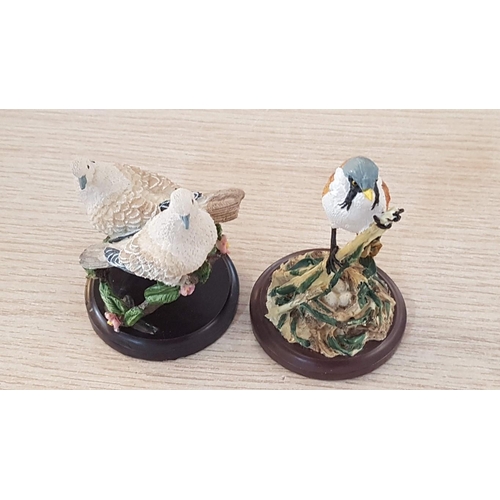 19 - 10 hand painted bird ornaments from the Bird Collection – sculpted by Andy Pearce – average height 1... 