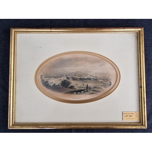 301 - Framed Antique Engraving of Totnes, (South Devon, UK), by G. Townsend, Exeter, (Circa 1855)