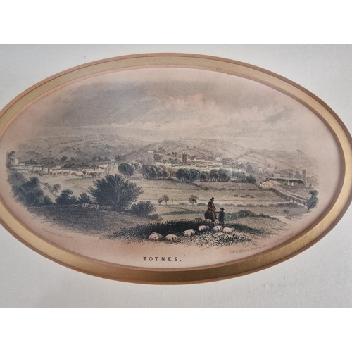 301 - Framed Antique Engraving of Totnes, (South Devon, UK), by G. Townsend, Exeter, (Circa 1855)