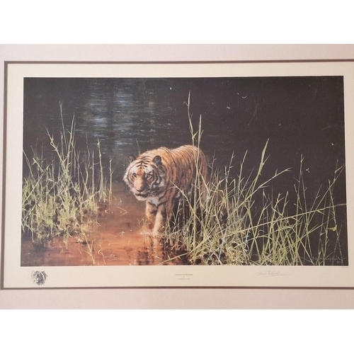 100 - Framed Limited Edition David Shepherd Print, Titled 'Jungle Gentleman', No. 1538/2000 in Gilt Frame,... 