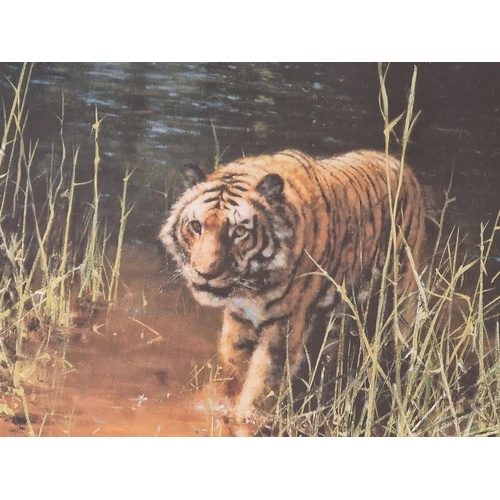 100 - Framed Limited Edition David Shepherd Print, Titled 'Jungle Gentleman', No. 1538/2000 in Gilt Frame,... 