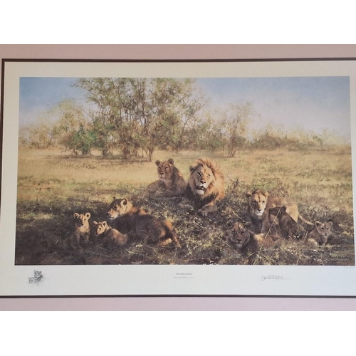 101 - Framed Limited Edition David Shepherd Print, Titled 'First Light at Savuti', No. 1244/1500 in Gilt F... 