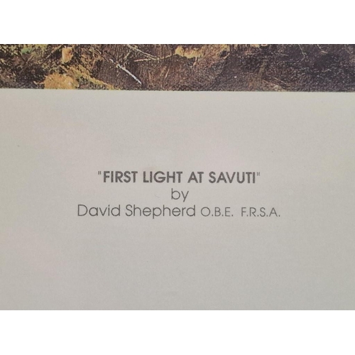 101 - Framed Limited Edition David Shepherd Print, Titled 'First Light at Savuti', No. 1244/1500 in Gilt F... 