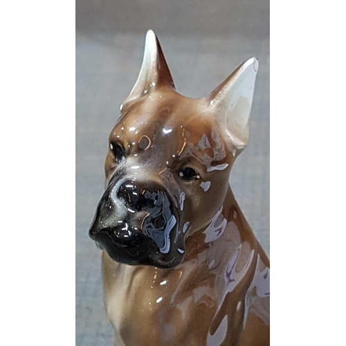 195 - Boxer Dog, Porcelain Figurine, Made in Austria, Small Chipped on The Ear, H: 16.5cm.