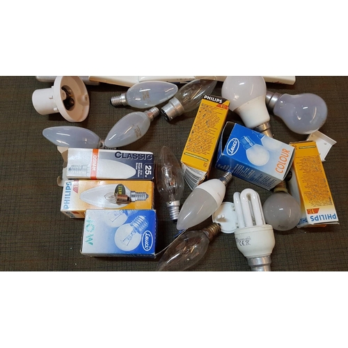 441 - Assorted Box of Electrical Fixing (Various Sockets) and Quantity of Bulbs (Untested).