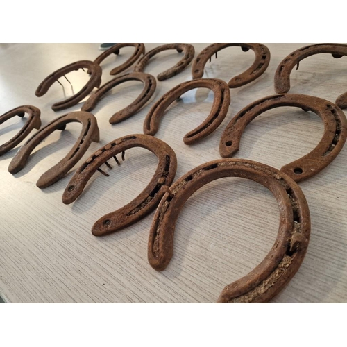 280 - Collection of 12 x Vintage Horse Shoes, (12)