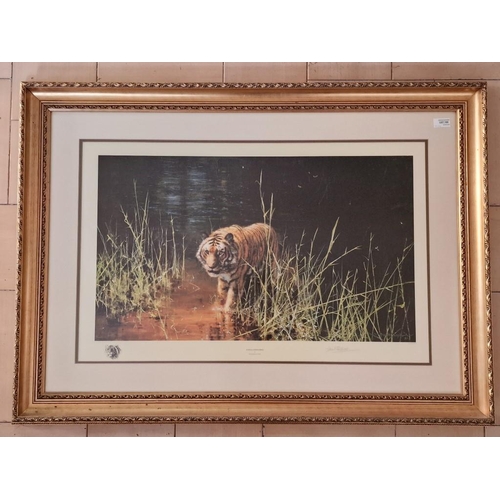 216 - Framed Limited Edition David Shepherd Print, Titled 'Jungle Gentleman', No. 1538/2000 in Gilt Frame,... 