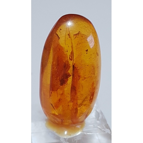 140 - Beautiful Small Piece of Amber (Approx. 4.5cm x 2cm) on a Plexiglass Base/Cube.